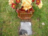 image of grave number 222311